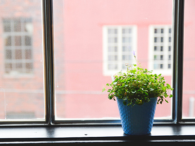 智能代码补全的Web漏洞扫描工具